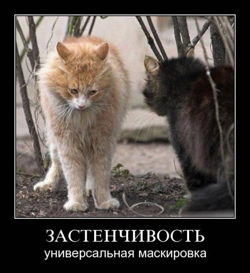 http://joke.sibnet.ru/file/file-20844.jpg