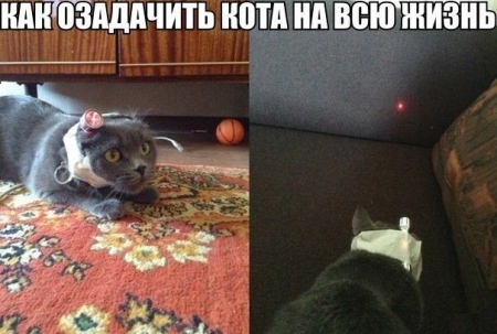 Юмор: 