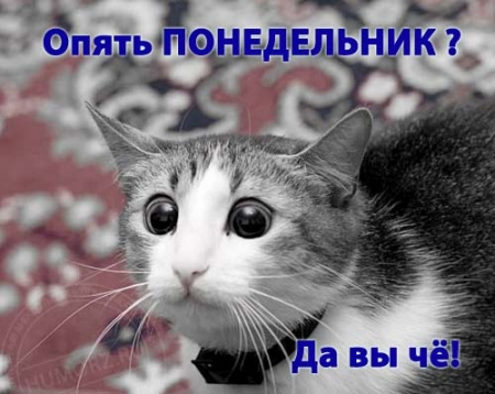 Юмор: www.humorz.ru