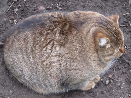 : 