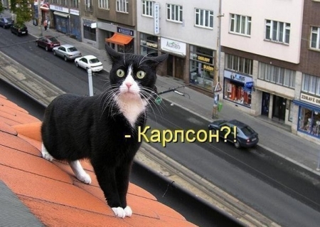 : 