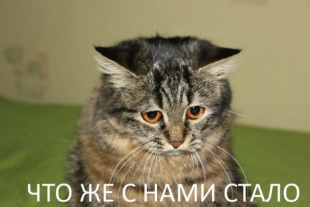 : 